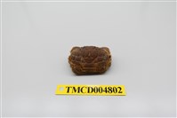 藏品(絨毛仿銀杏蟹)的圖片